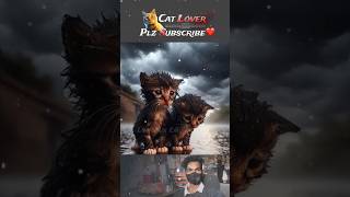 Very poor cat Meow meow song Sad feelingcatlover cat kitten heartfelttales [upl. by Artep]