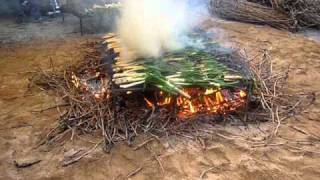 Calçots ardiendo en el infierno [upl. by Ortrud]