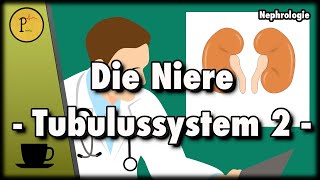 Das Tubulussystem unserer Niere erklärt Diuretika Spironolacton Thiazide HCT Xipamid Teil 2 [upl. by Renfred]