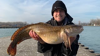 Catching a RARE Fish BURBOT in LAKE ERIE Catch and Cook EELPOUT [upl. by Nylarad]