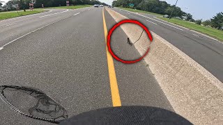 Hero Saves Kitten Running on Busy Long Island Parkway [upl. by Emoraj151]