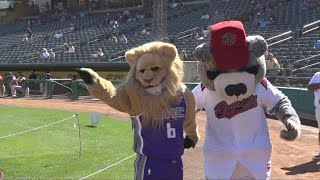 Sacramento Kings X River Cats partnership to boost both city teams [upl. by Ydurt266]