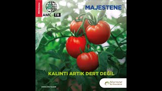 MAJESTENE 95405 gl Burkholderia rinojensis strain A396 ile kalıntı artık dert değil [upl. by Laughry]