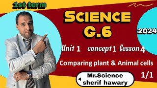 Comparing plant ampAnimal cells  Grade 6  Unit 1  Concept 1  Lesson 4 Part22 Science ساينس 6 [upl. by Gamali]