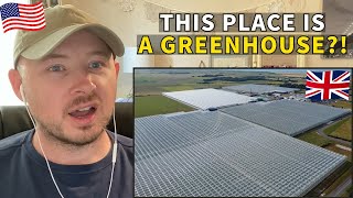 American Reacts to Thanet Earth  The UKs Largest Greenhouse Complex [upl. by Eneluj130]