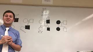 AP Biology Pedigree Tricks [upl. by Ahsenod]