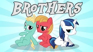 Brothers ¨MLP ANIMATION¨ reuploaded [upl. by Kernan]