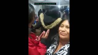 CHICHA MIX CAYAMBEÑAS CAMILO TORRES ROSITA FLORES MIRIAMCITA IMPERIO MIUSIC CD MÓVIL 💥🇪🇨 [upl. by Errised]