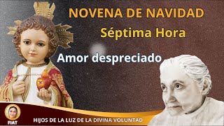 🌹 LOS 9 EXCESOS DE AMOR CONTINUOS  LUISA PICCARRETA  NOVENA DE NAVIDAD  DIVINA VOLUNTAD [upl. by Margarita]