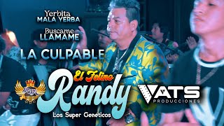 EL FELINO RANDY  Yerbita mala yerba  Búscame llámame  Cúrame la Herida  La culpable [upl. by Hakym86]