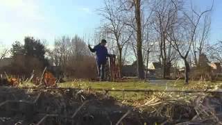 Bomen vellen  Tuinaanleg  GAMMA België [upl. by Naejarual]