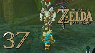 The Legend of Zelda Breath of the Wild ITA Parte 37  Arena [upl. by Donegan]