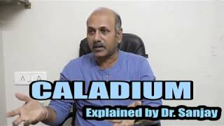 Caladium Explained By DrSanjay [upl. by Naltiak]