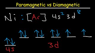 Paramagnetic vs Diamagnetic  Paired vs Unpaired Electrons  Electron Configuration [upl. by Staford882]