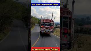 AUTOBUSES DE GUATEMALA feedshorts buses guatemala suscribete [upl. by Niala]