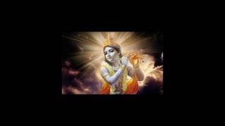 Sree Krishna Govind Hare murari songstatus yoytubeshorts krishnastatus shortsvideo [upl. by Eldridge]