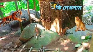 মহেশ দম পাহাড়ের উপর কি দেখলাম 👀mohes dam paharer urpe ki deklam 😱new 2024 [upl. by Ahseiat]