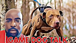 GAMEDOG TALK EPISODE 94 MANBITERS HYPOCRISY [upl. by Chapa]