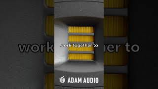 Get Studio Monitors Instead of Speakers for Your Home Office AdamAudio is the BEST [upl. by Edyaj]