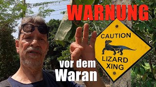 WARNUNG vor der ECHSE  etwa dem Waran  auf Koh Samui 🇹🇭 2023 [upl. by Towne]