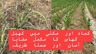 How to control khabal grass cynodon dactylon in maize and sugarcane crop [upl. by Sherri80]