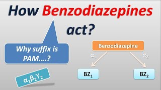 How benzodiazepines actAre they modulators [upl. by Mikkel]