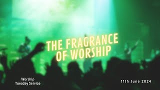 The Fragrance of Worship  Worship Session With COZA City Music  COZATuesdays  11062024 [upl. by Gothar]