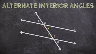 What are Alternate Interior Angles [upl. by Fidel]