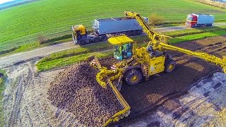 ROPA EURO MAUS 4 loading sugar beet  Zückerrüben überladen [upl. by Berey326]