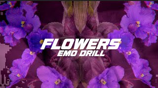 Flowers  Emo Drill  R2r Moe x Wolfacejoeyy x Cash Cobain Type Beat prod by CitytheKing [upl. by Annetta]