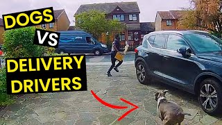 TOP 23  Dogs VS Delivery Drivers  BEWARE Of The Dog [upl. by Ainahpets]