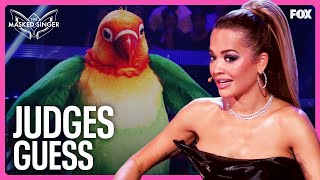 Judges Guess for Lovebird  Season 11  The Masked Singer [upl. by Vida]