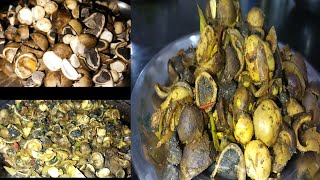 Rugda Mushroom Recipevegetarian meat रूगडा़ की सब्जीRugda Recipe rugda mushroom monsoon cook [upl. by Hanway]