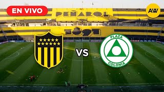 PEÑAROL VS PLAZA COLONIA EN VIVO [upl. by Alliuqa223]