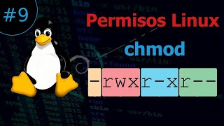 CHMOD como asignar y entender los PERMISOS dentro de Linux [upl. by Ahsemal903]