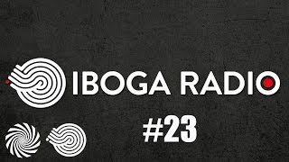 Iboga Radio Show 23  Holograms and Aliens [upl. by Danialah879]