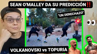 SEAN OMALLEY da su PREDICCIÓN a VOLKA vs TOPURIA quotgana por knockoutquot🔥 [upl. by Jedthus]