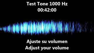 1000 hz Test Tone  frequency 1 khz [upl. by Rebeka]