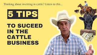 High Prices Have Piqued Interest in Cattle Heres Some Things to Know [upl. by Neahs987]