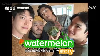 ENGINDO SUB WATERMELON 🍉 Story  Kisah sebuah semangka LEE KWANGSOO  KIM WOOBIN  DOH KYUNGSOO [upl. by Sayre599]