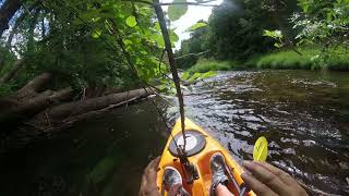 Big Eddy Kayaking the Nehalem [upl. by Nylirehs]