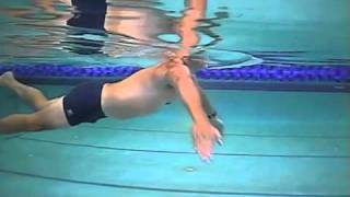 MPI Triathlon Swim Drills Sculling Drill [upl. by Abert270]