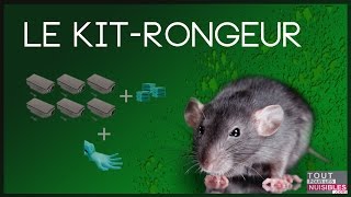 Comment tuer les rats et les rongeurs des champs [upl. by Ainedrag]