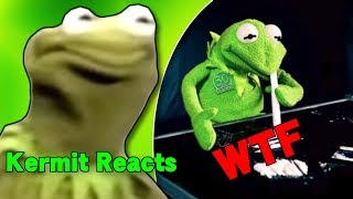 Kermit The Frog Reacts To Kermit The Frog Memes Meme Comp [upl. by Atteve]