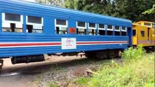 Tren de turismo en Ceiba [upl. by Valry]