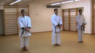 Oyo Bunkai Pinan Shodan wwwkarateBCNcom [upl. by Anoyet]