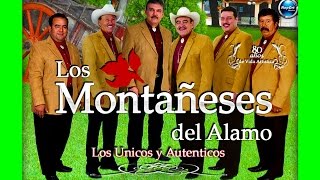 LOS MONTAÑESES DEL ALAMO  TE VAS ANGEL MIO  MUSICA RANCHERA [upl. by Frohman824]