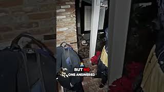 What Would You Do If Armed Robbers Came to Your Door doorbellcamera [upl. by Laden]