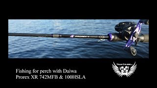 Team Colibri Daiwa Prorex 100 HSLA amp Prorex 742 [upl. by Sedgewinn615]