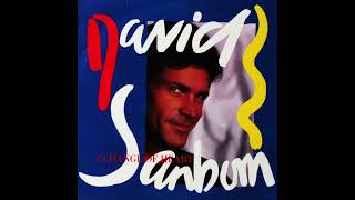 David Sanborn  Chicago Song Warner Bros Records 1987 [upl. by Leary]